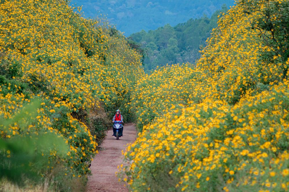 best time to visit da lat vietnam